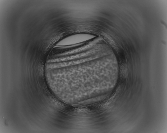 X0000091560401200709071132