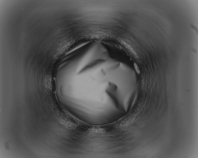 X0000091560403200709071132