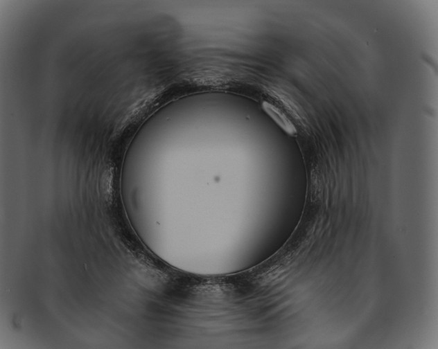 X0000091560404200709071132