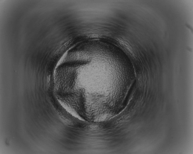 X0000091560406200709071132