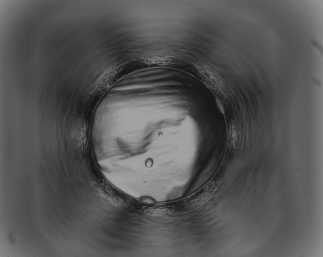 X0000091560408200709071132