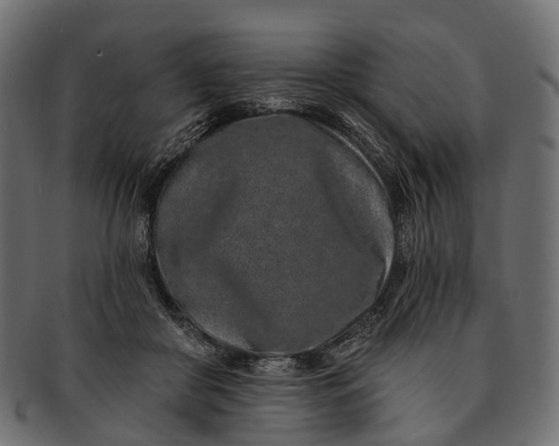 X0000091560410200709071131