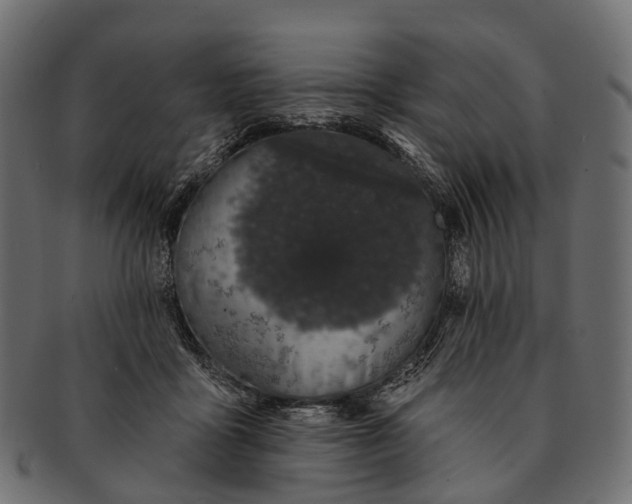 X0000091560411200709071131