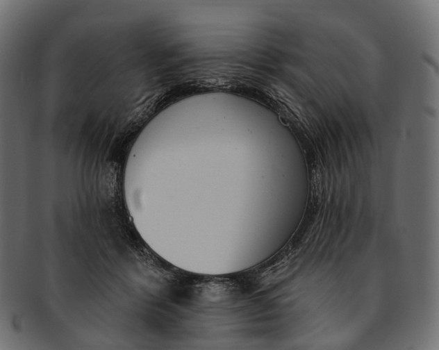 X0000091560412200709071131