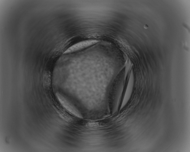 X0000091560413200709071131