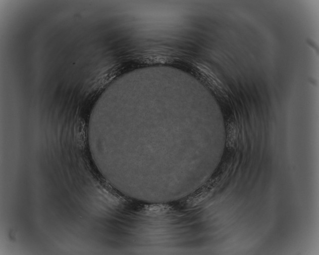 X0000091560414200709071131