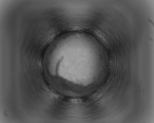 X0000091560415200709071131