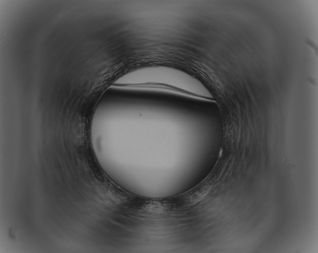 X0000091560416200709071131