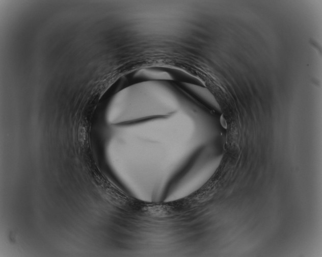 X0000091560417200709071131