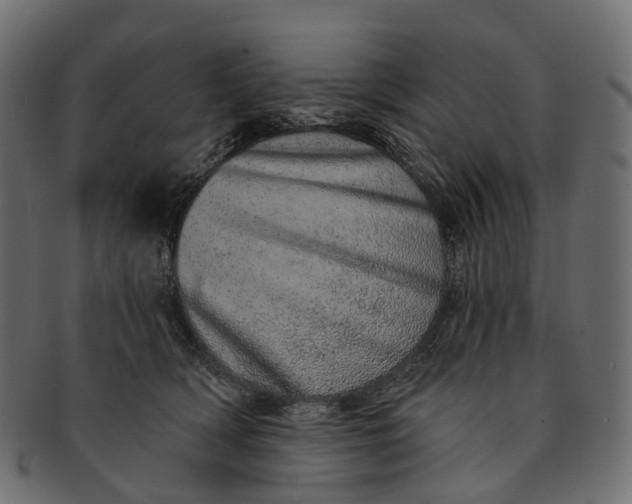 X0000091560418200709071131