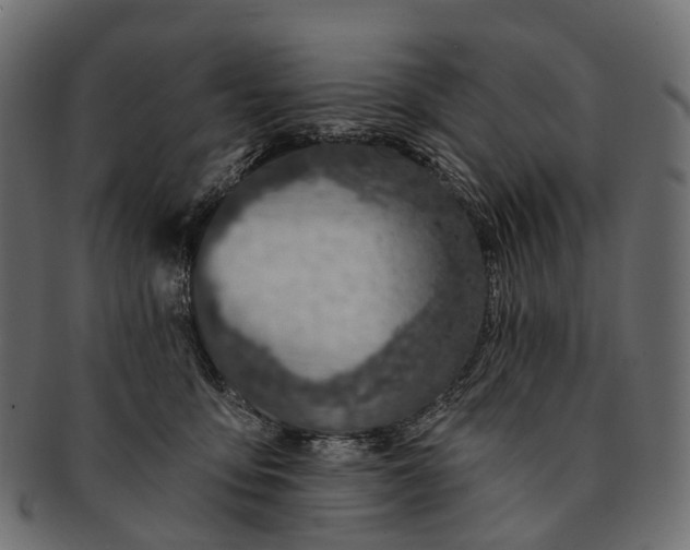 X0000091560419200709071131