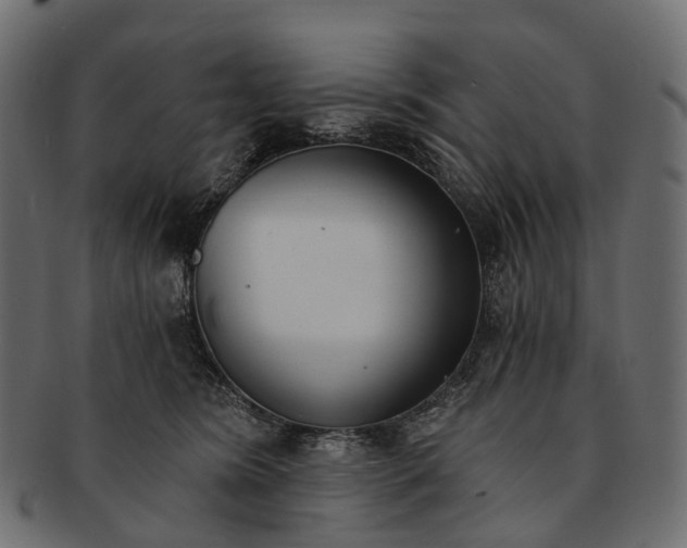 X0000091560420200709071131