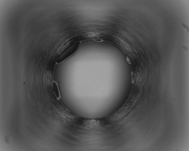 X0000091560421200709071131