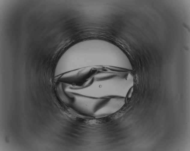 X0000091560423200709071131