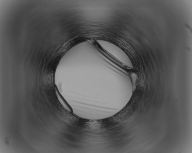 X0000091560425200709071131