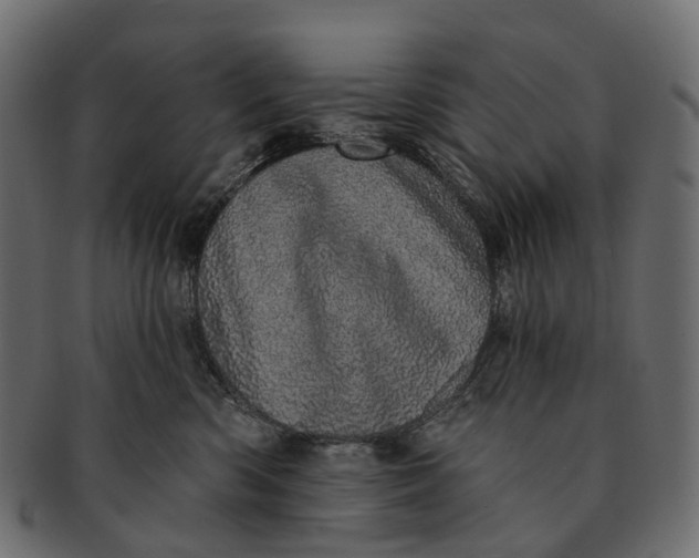 X0000091560426200709071131