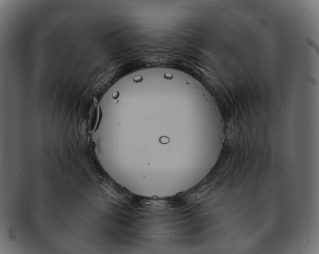 X0000091560428200709071131