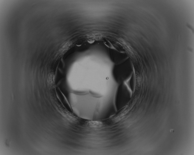 X0000091560429200709071131