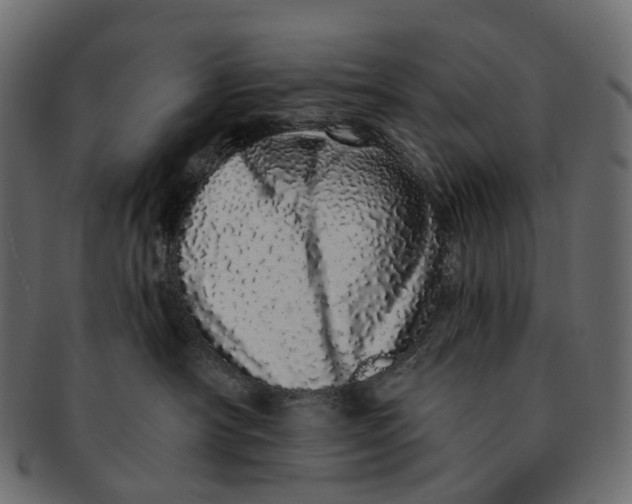 X0000091560430200709071131