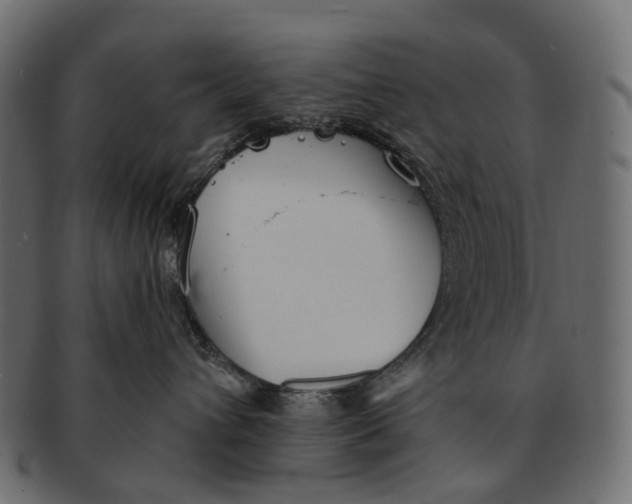 X0000091560432200709071131