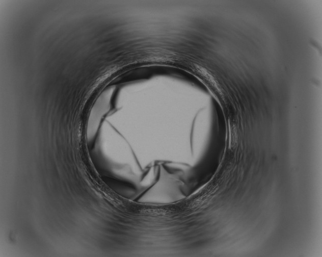 X0000091560435200709071131