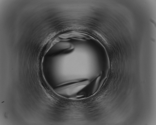 X0000091560436200709071131