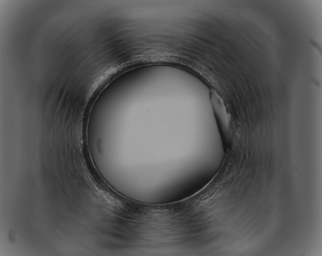 X0000091560438200709071131