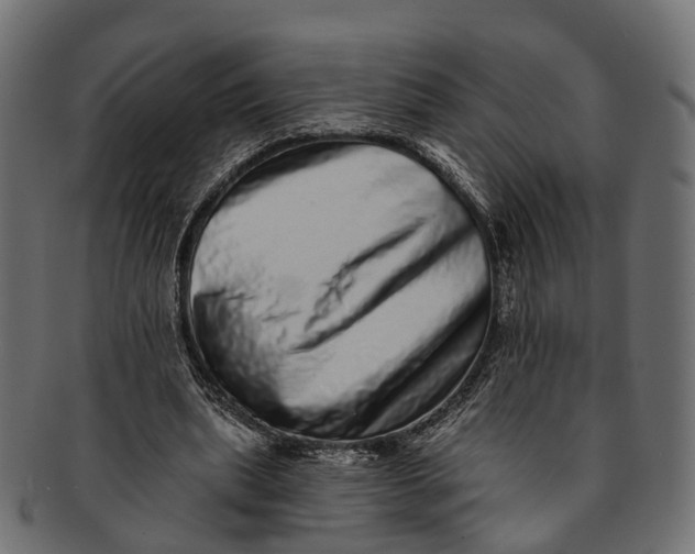 X0000091560439200709071131