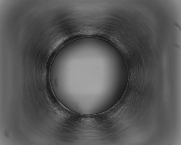 X0000091560440200709071131