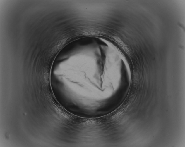 X0000091560441200709071131