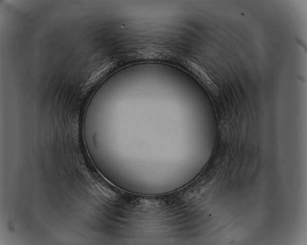 X0000091560442200709071131