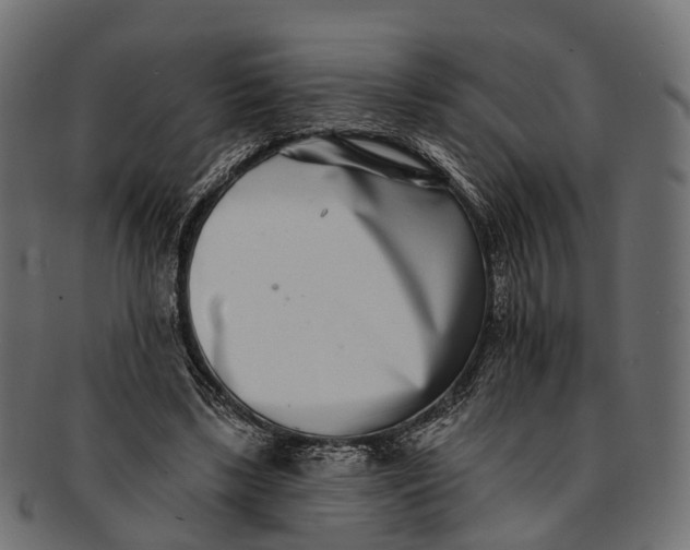 X0000091560443200709071131