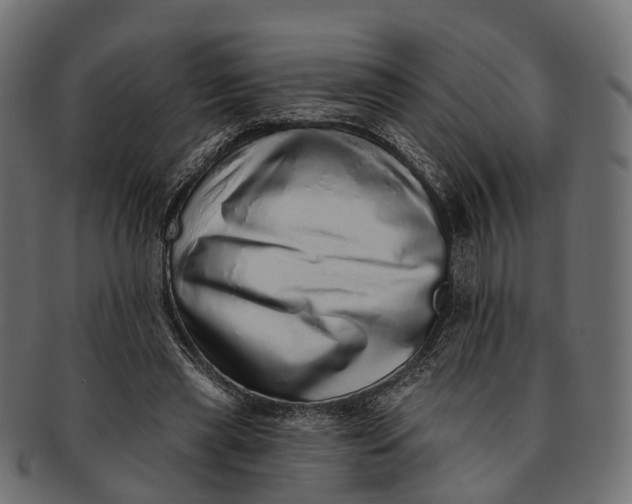 X0000091560445200709071131