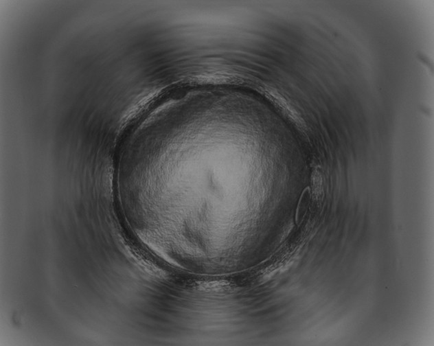 X0000091560446200709071131