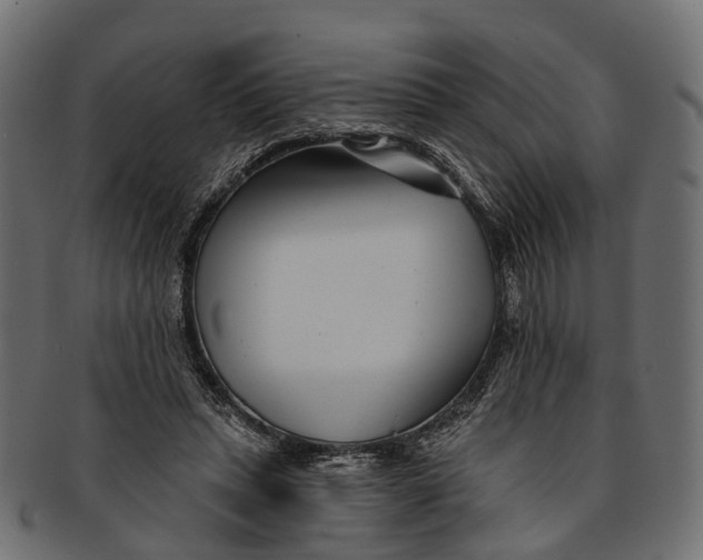 X0000091560447200709071131