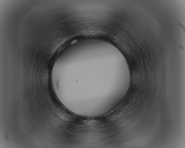 X0000091560448200709071131