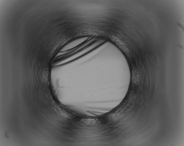 X0000091560449200709071131