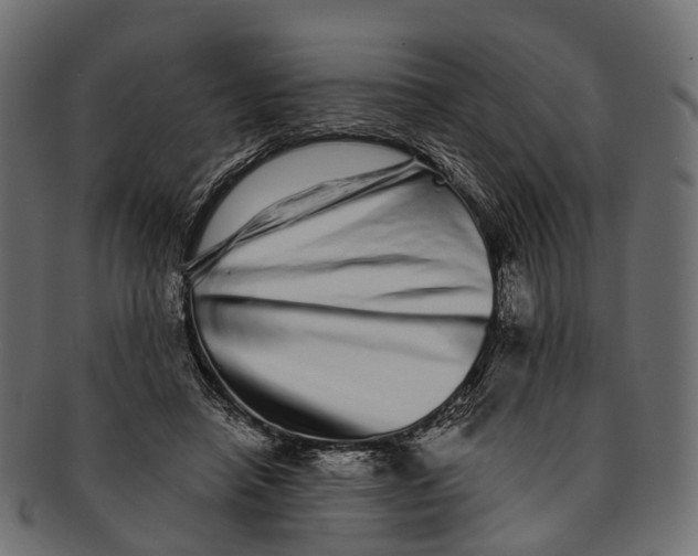 X0000091560450200709071131