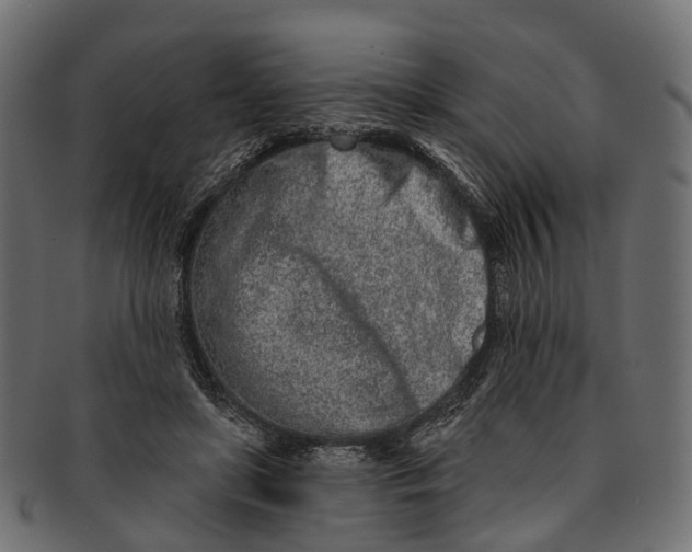 X0000091560451200709071131