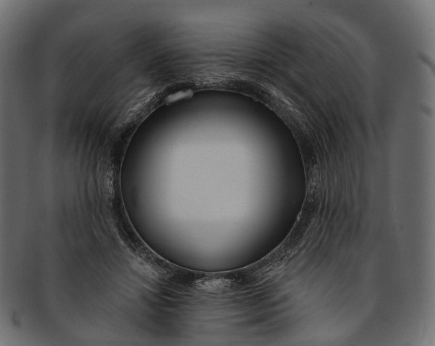 X0000091560452200709071131