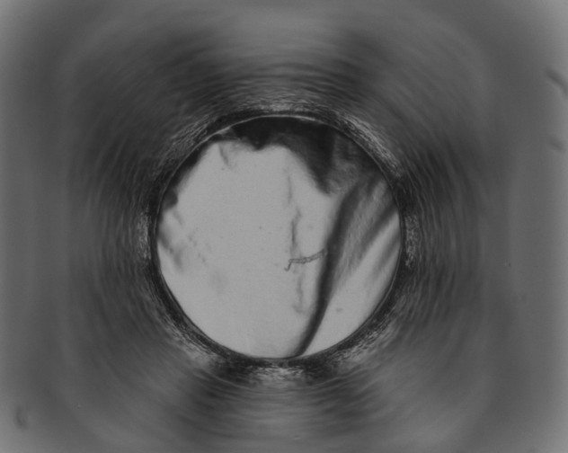 X0000091560453200709071131