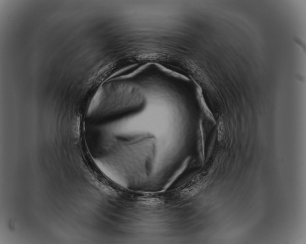 X0000091560454200709071131