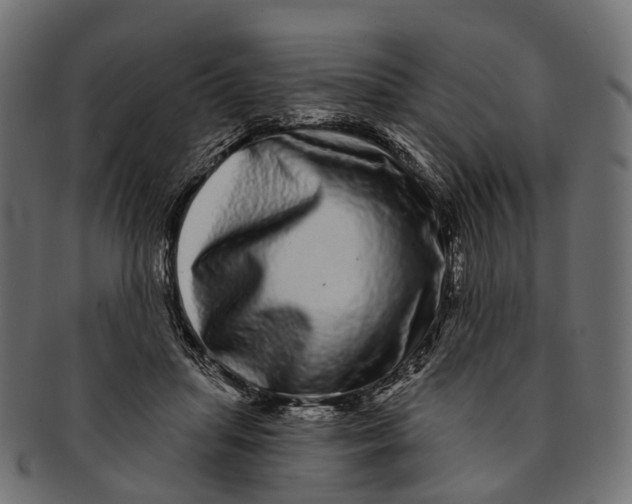 X0000091560455200709071131