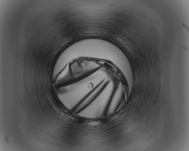 X0000091560456200709071131