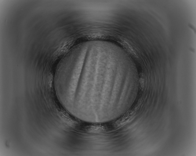 X0000091560458200709071131