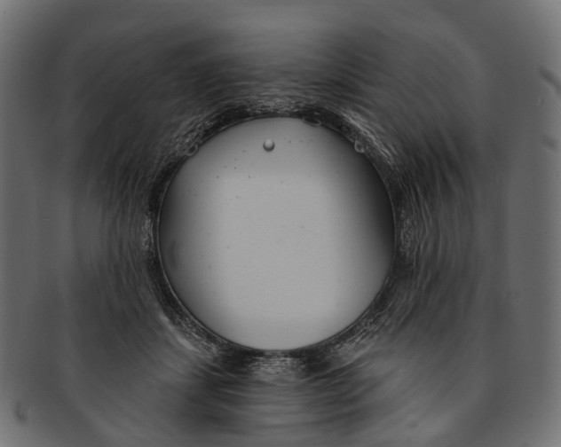 X0000091560459200709071131