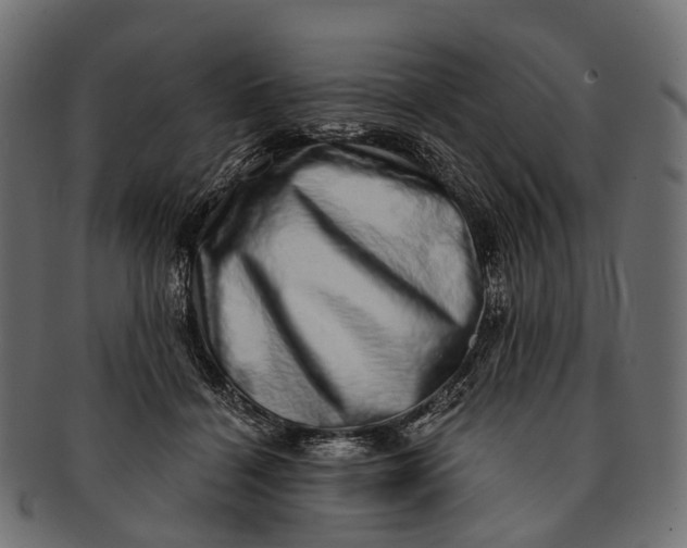 X0000091560460200709071131