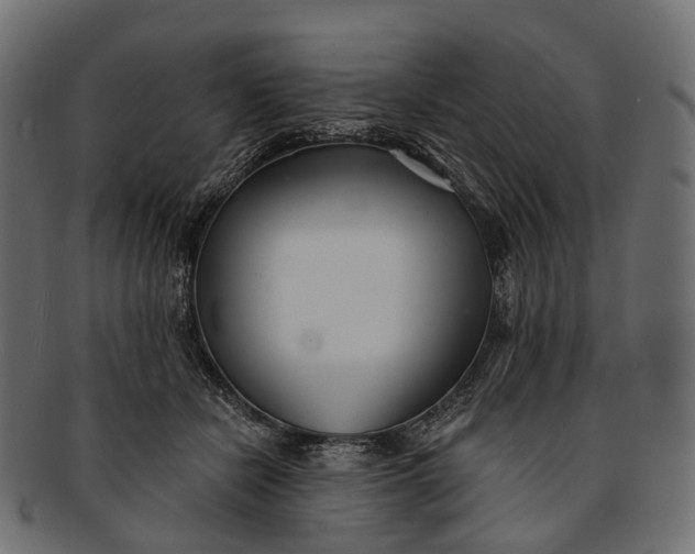 X0000091560462200709071131