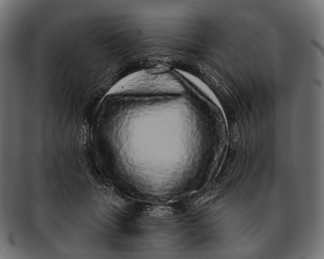 X0000091560463200709071131