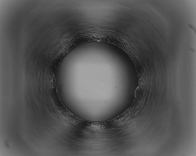 X0000091560464200709071131